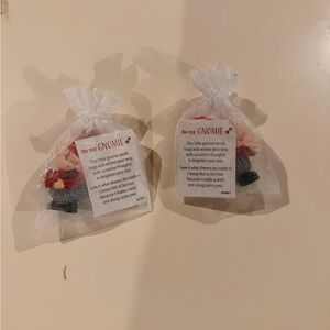 New! Set of 2 “be my gnomie” charming gnome collectibles